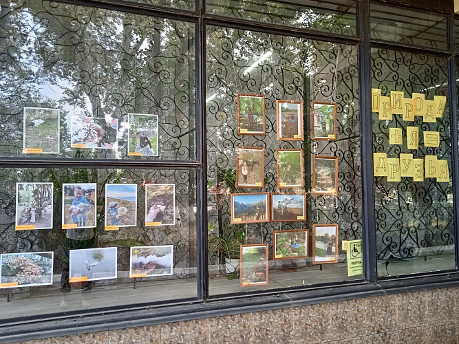 Фото: Чеховка на Кирпичном. г. Армавир Фото: Чеховка на Кирпичном. г. Армавир