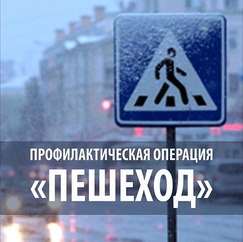 Фото: 