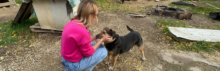 Фото:  Фото: