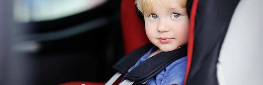 Фото: Фото: