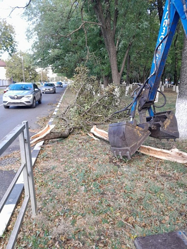 Фото: Администрация города Армавира